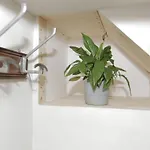 Ca' Du Pitta Apartment Genua